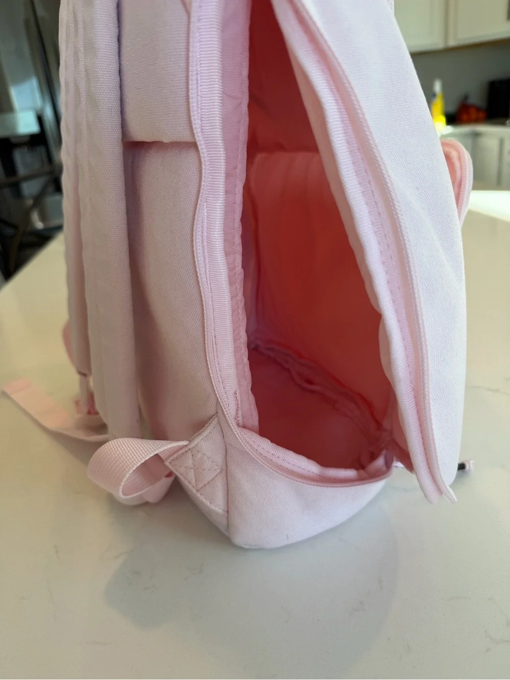 Brevite Everyday Backpack pink
